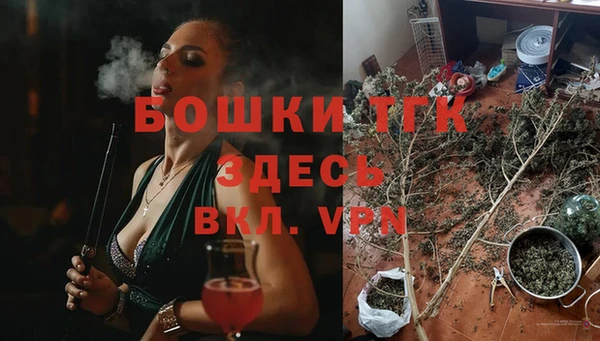 spice Михайлов