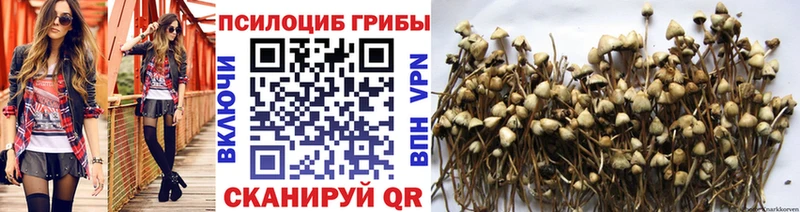 Псилоцибиновые грибы Magic Shrooms Ангарск